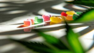 CBD Care Gummies – Everything You Need to Know Before Buying
